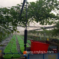 Greenhouse Hanging Micro Spray